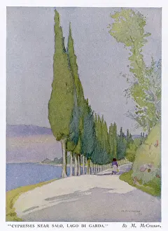 Salo: Cypress Trees in Italy