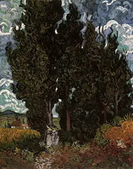 Cypress: Cypresses, by Van Gogh