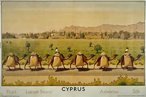 Locust: Cyprus poster