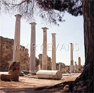 Salamis: CYPRUS/SALAMIS/RUINS