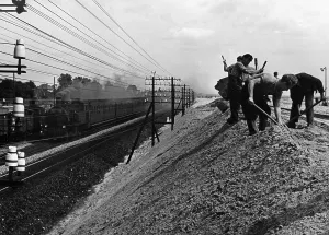 Migrants: Czech foreign workers in Berlin, 1939