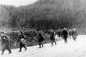 Partisan: Czech partisans, 1945