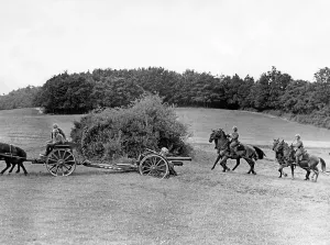 Csfr: Czechoslovak Artillery, 1938