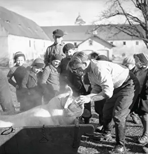 Butchering: Czechoslovakia - 1939 - butcher