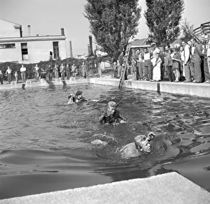 Cviceni: Czechoslovakia 1953, swimming