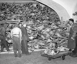 Freezer: Czechoslovakia - Litomerice, 1947. Thousands of