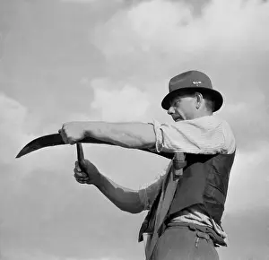 Sharpens: Czechoslovakia - Malovice 1950. Farmer sharpens