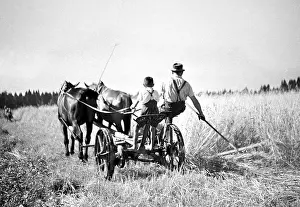 Malovice: Czechoslovakia - Malovice 1950. Farmer an son