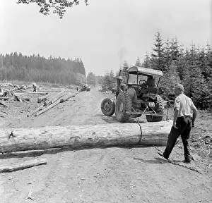 Pohranici: Czechoslovakia - Plane by Marienbad 1948. Loggers