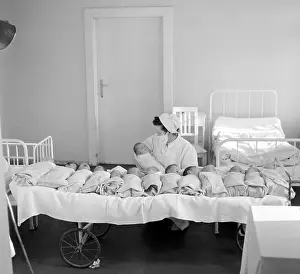 Stvanice: Czechoslovakia, Prague 1947. Newborn babies are