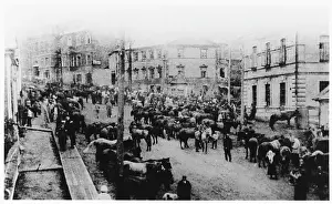 Czechs: CZECHS AID KERENSKY
