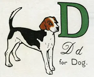 Deans: D for Dog
