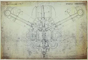 Camshaft: D Napier and Son - Sealion
