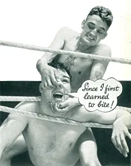 Nostrils: D. & W. Gibbs Advertisement Photograph