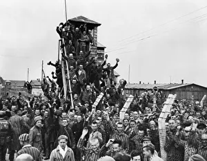 Lcgr1509: Dachau Prisoners wave and cheer the Seventh US Army