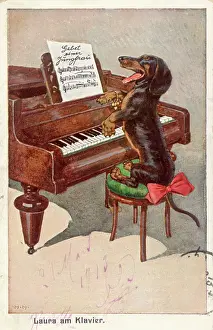 Tune: Dachshund and Piano
