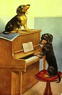 Howl: Dachshund singing lesson