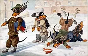 Clumsy: DACHSHUNDS IN THE SNOW