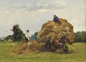 Haying: Daddy Longlegs