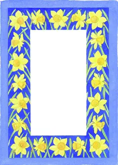 Mclaughlin: Daffodil Border