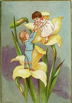Daffodil: Daffodil Children by Kate Greenaway