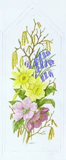 Bovey: Daffodils, Bluebells and Catkins