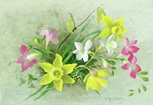 Freesias: Daffodils, freesias and catkins