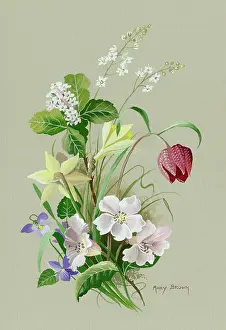 Fritillary: Daffodils, fritillary etc