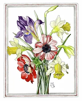 Stylosa: Daffodils, Iris Stylosa and Anemones