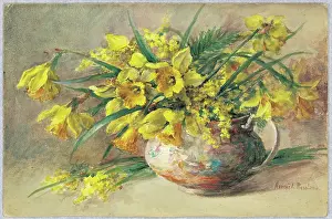 Pressland: Daffodils and Mimosa
