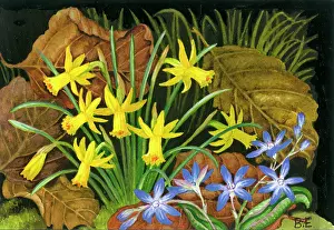 Periwinkle: Daffodils and Periwinkle
