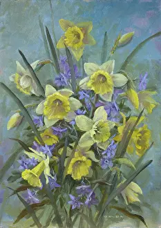 Gilda: Daffodils with Periwinkles