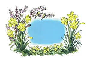 Haywood: Daffodils, primroses, daphne, and blue tits