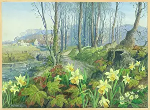 Primroses: Daffodils with river, bridge and trees