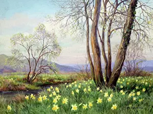 Riverbanks: Daffodils by a river with hills in the distance
