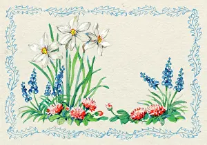 Squills: Daffodils with squills and daisies