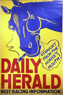 Daily Herald advert
