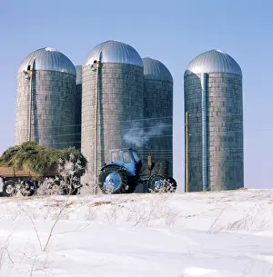 Kolkhoz: Dairy factory, 1980