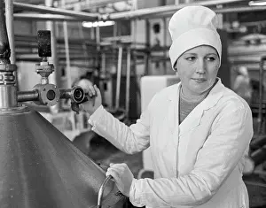 Operator: Dairy factory