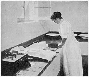 Dairy: Dairy Farm - making butter 1903