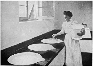 Dairy: Dairy Farm - separting cream 1903