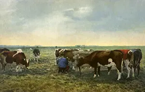 Milks: Dairy Farmer and Cows