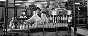 Forewoman: Dairy plant in Ulan-Ude