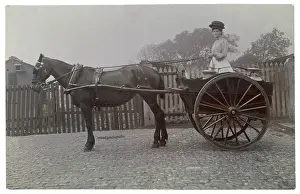 Rounds: Dairy Woman in Her Cart