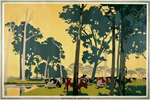 Dairying in Australia