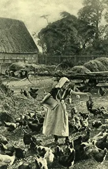 Dairymaid: Dairymaid feeding chickens, Isle of Wight