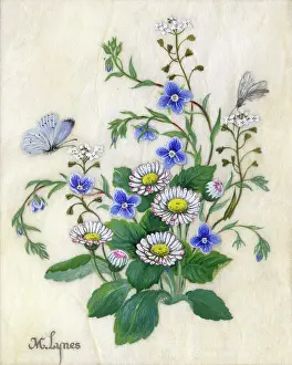 Lynes: Daisies and butterfly