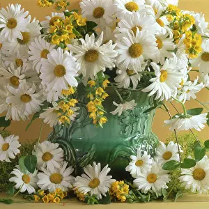 Millar: Daisies ' in a green vase