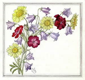 Harebells: Daisies, Lychnis and harebells