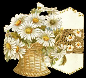 Daisies: Daisies in a wicker basket